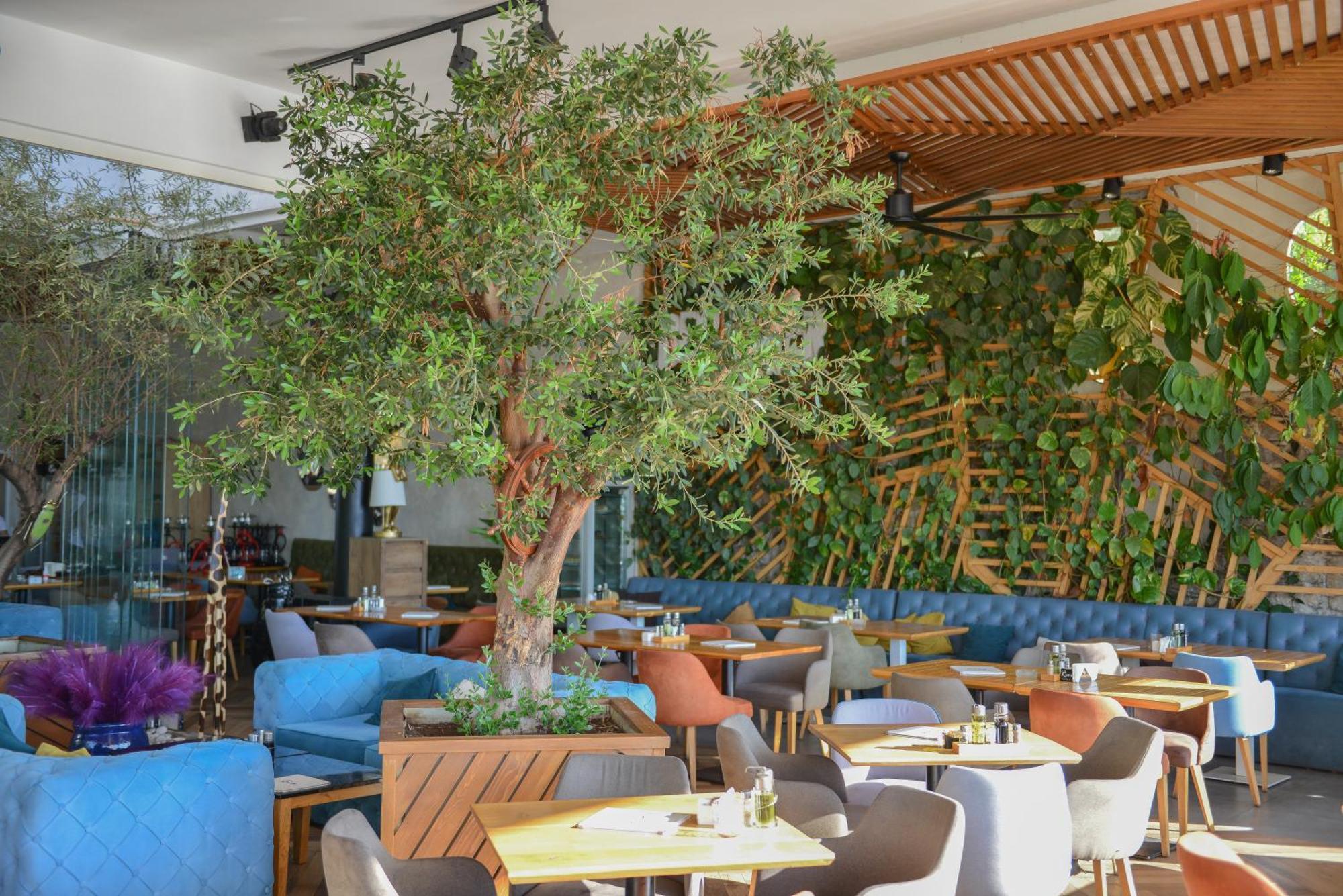 Hotel Riva Budva Kültér fotó